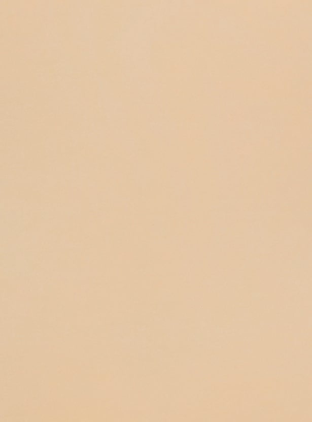 GINGER Women Solid Shapewear