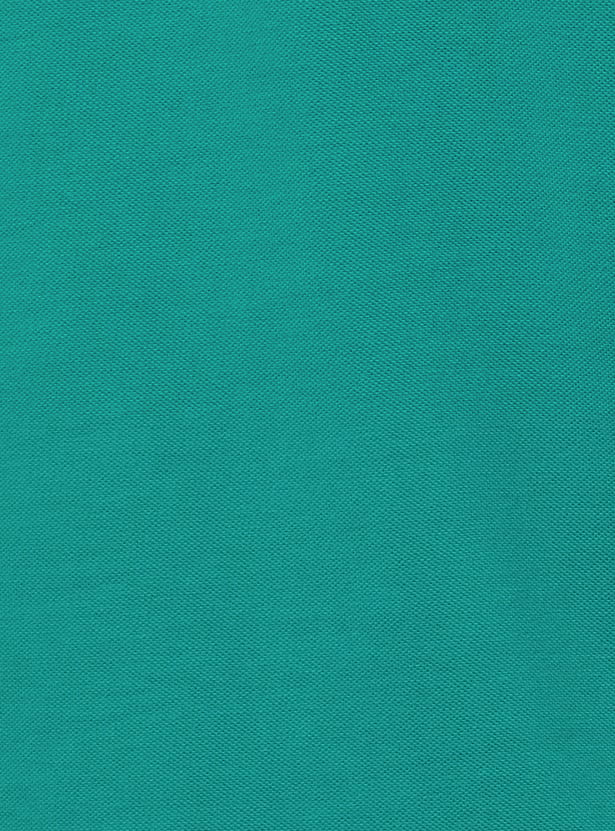 Men Solid Slim Fit Polo T-shirt