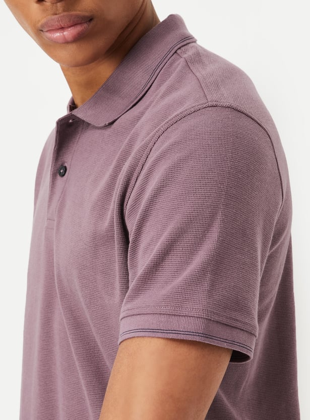 Men Solid Regular Fit Polo T-shirt