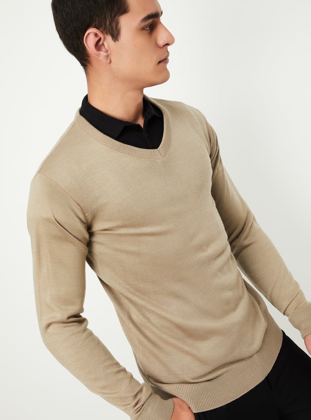 Men Solid V-Neck Sweater