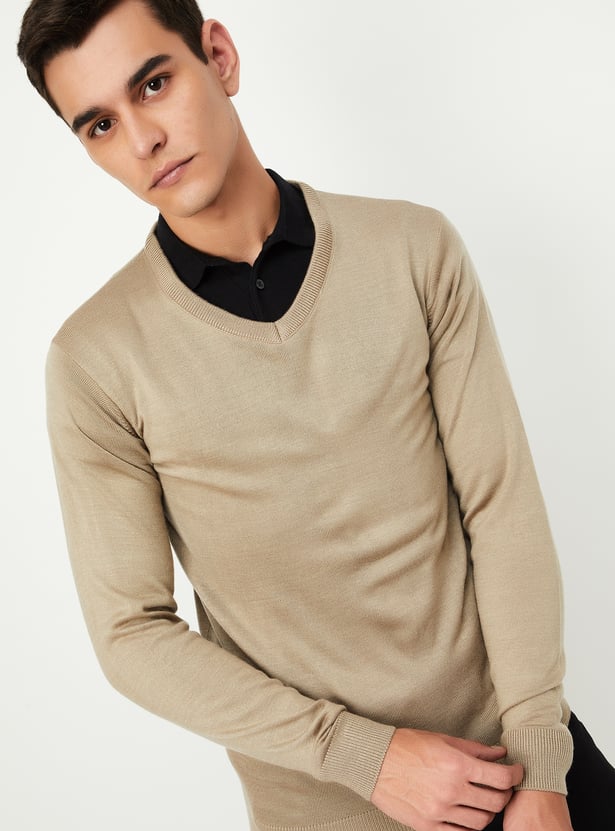 Men Solid V-Neck Sweater