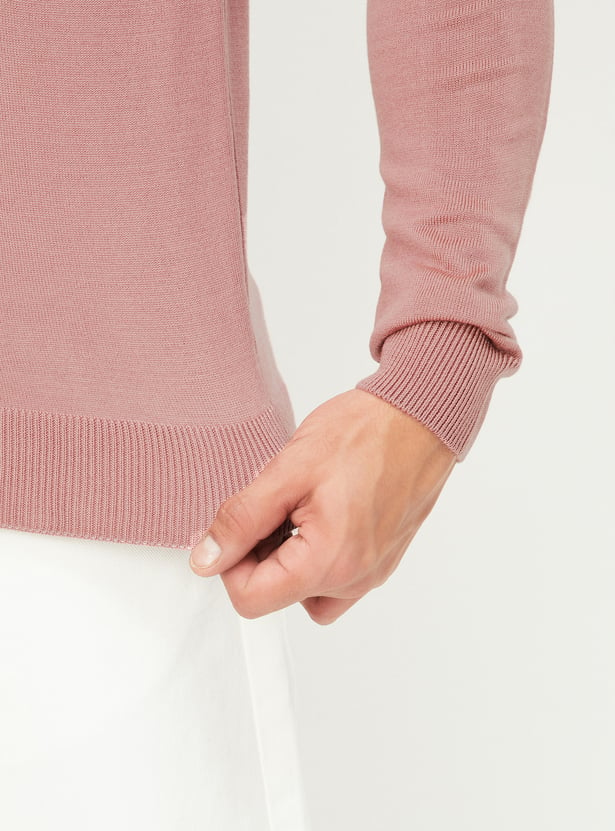 Men Solid V-Neck Sweater