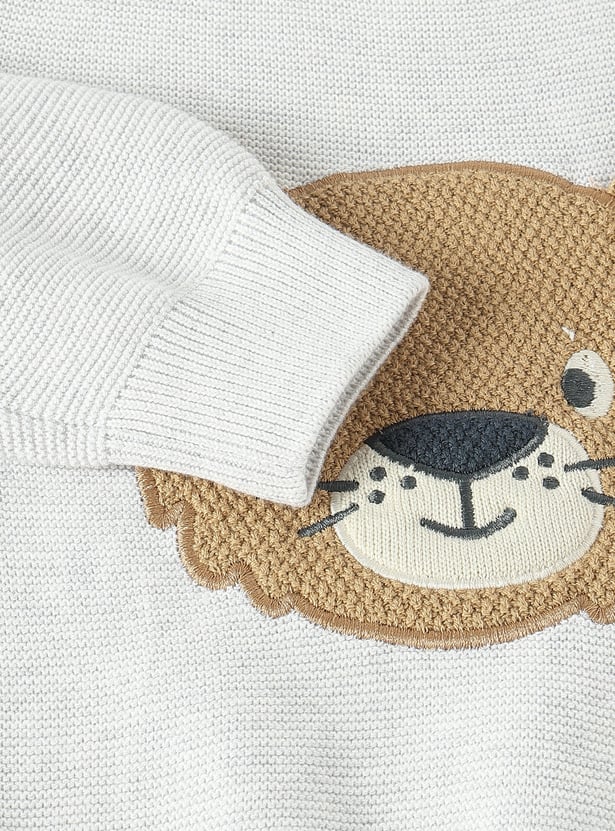 Boys Appliqued Sweater
