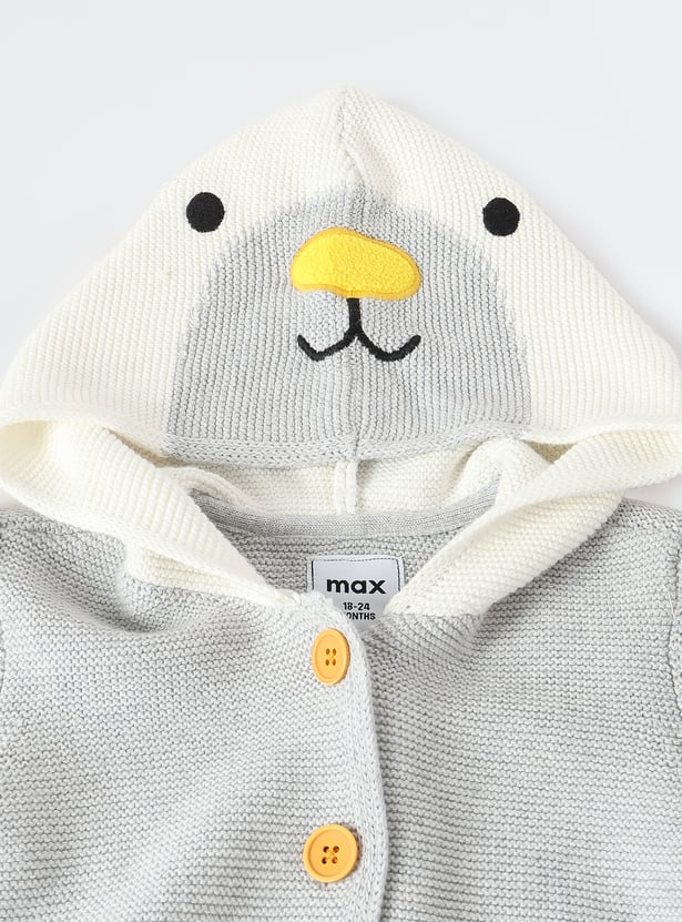 Boys Applique Hooded Sweater