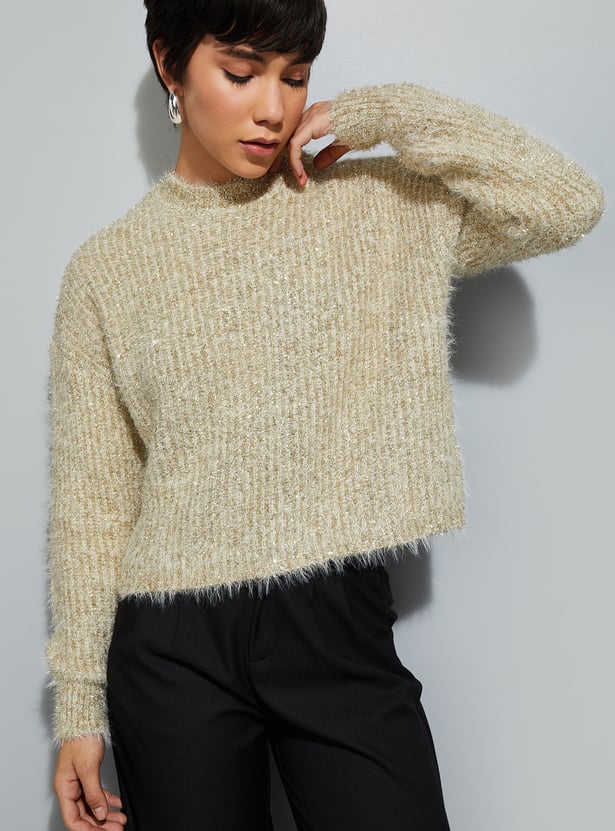 URB_N Women Shimmery Sweater