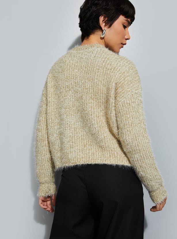 URB_N Women Shimmery Sweater