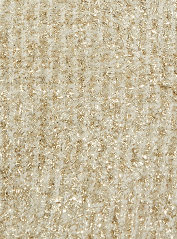 URB_N Women Shimmery Sweater