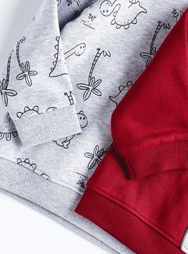 Boys Dinosaur Printed Sweatshirt - Pack of 2
