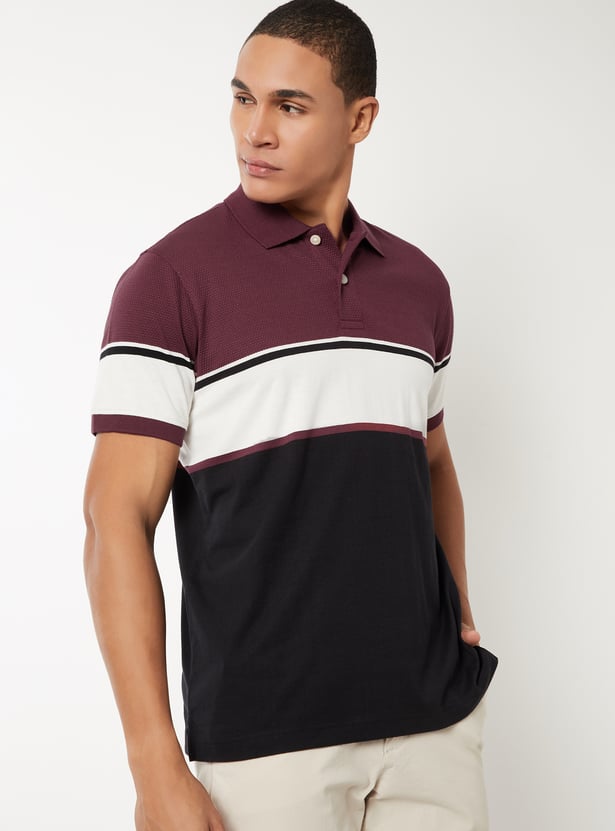 Men Colourblock Regular Fit Polo T-shirt
