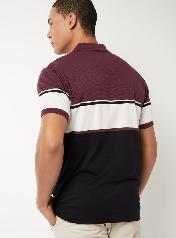 Men Colourblock Regular Fit Polo T-shirt
