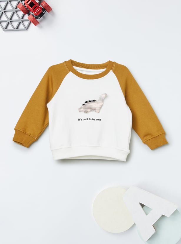Boys Dinosaur Applique Joggers Set
