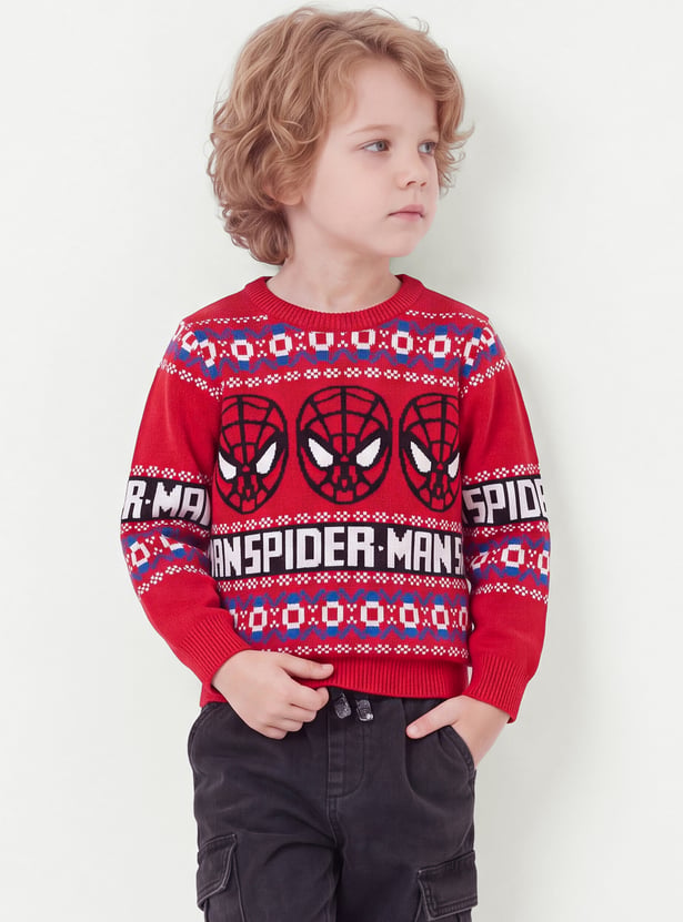 Boys Spiderman Sweater