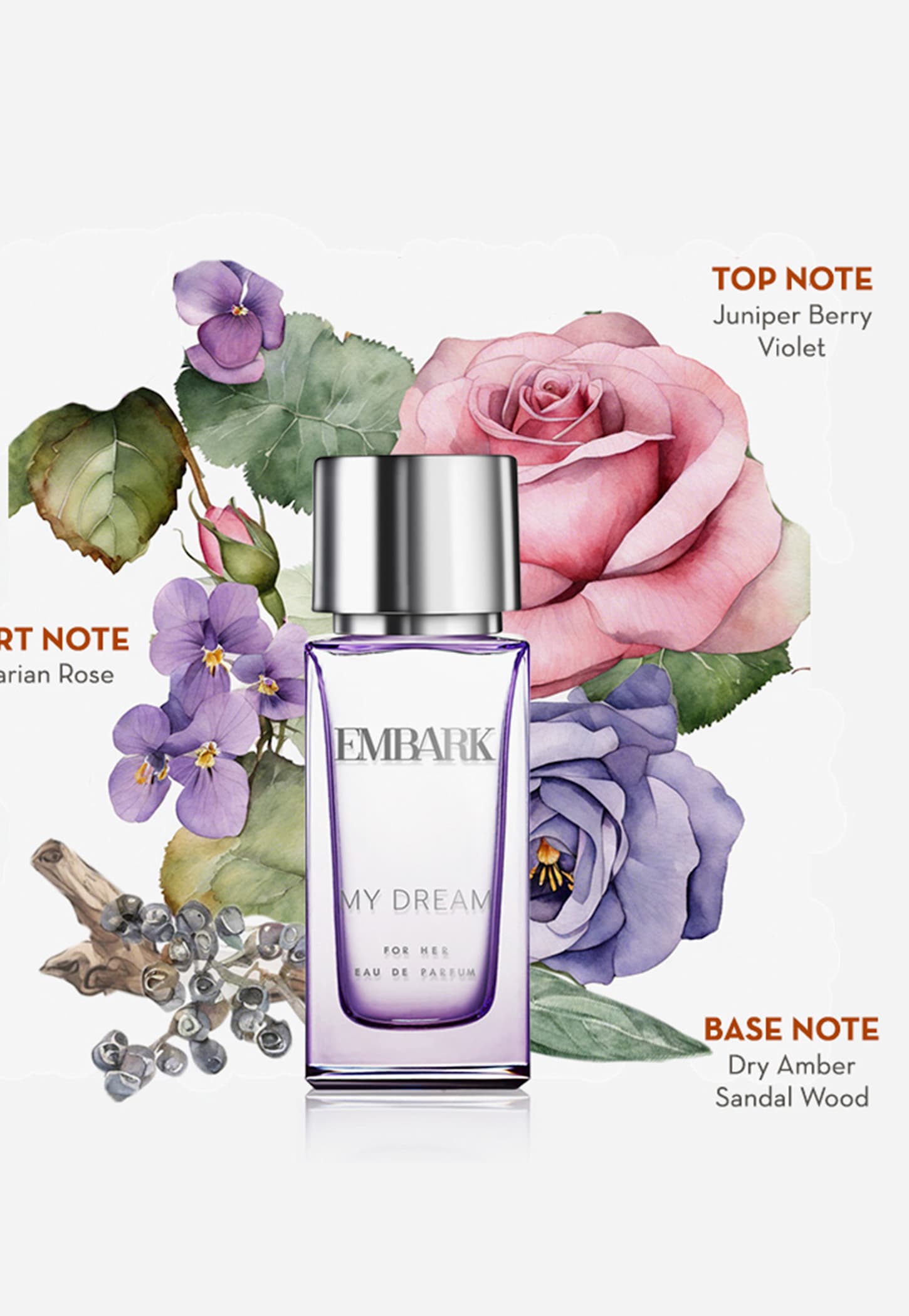 EMBARK My Dream for Her Gift Set - Pack of 3-image-15