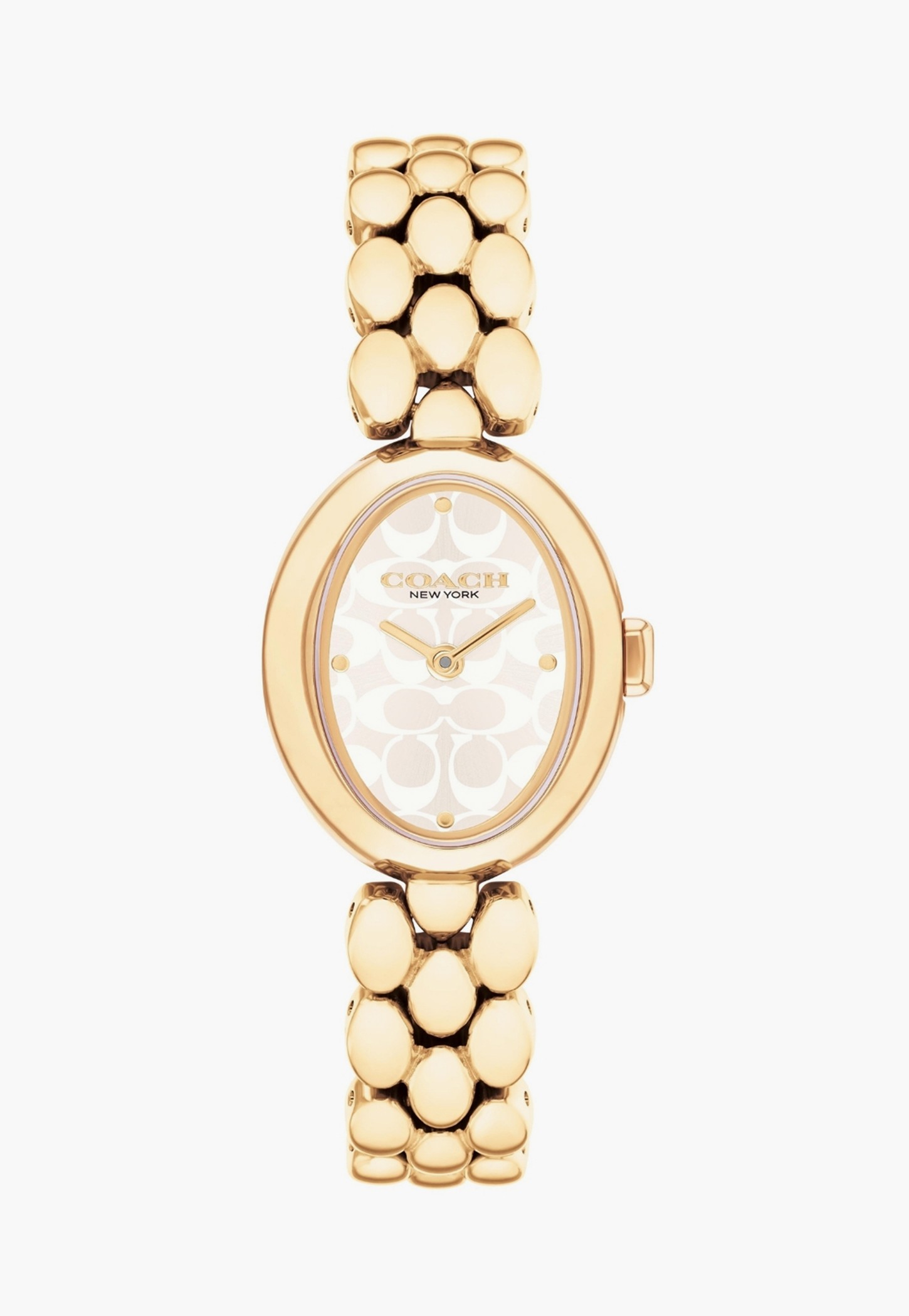 COACH Sammy Analog Watch - 14504417-image-48