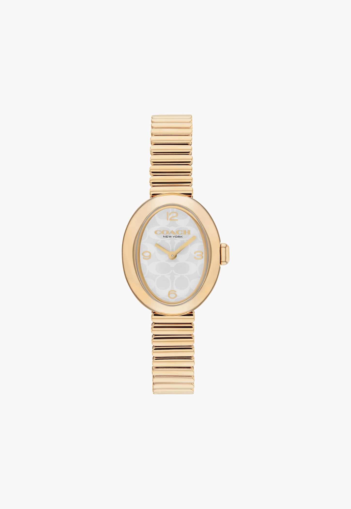 COACH Sammy Mini Stainless Steel Analog Watch - 14504573-picture-35