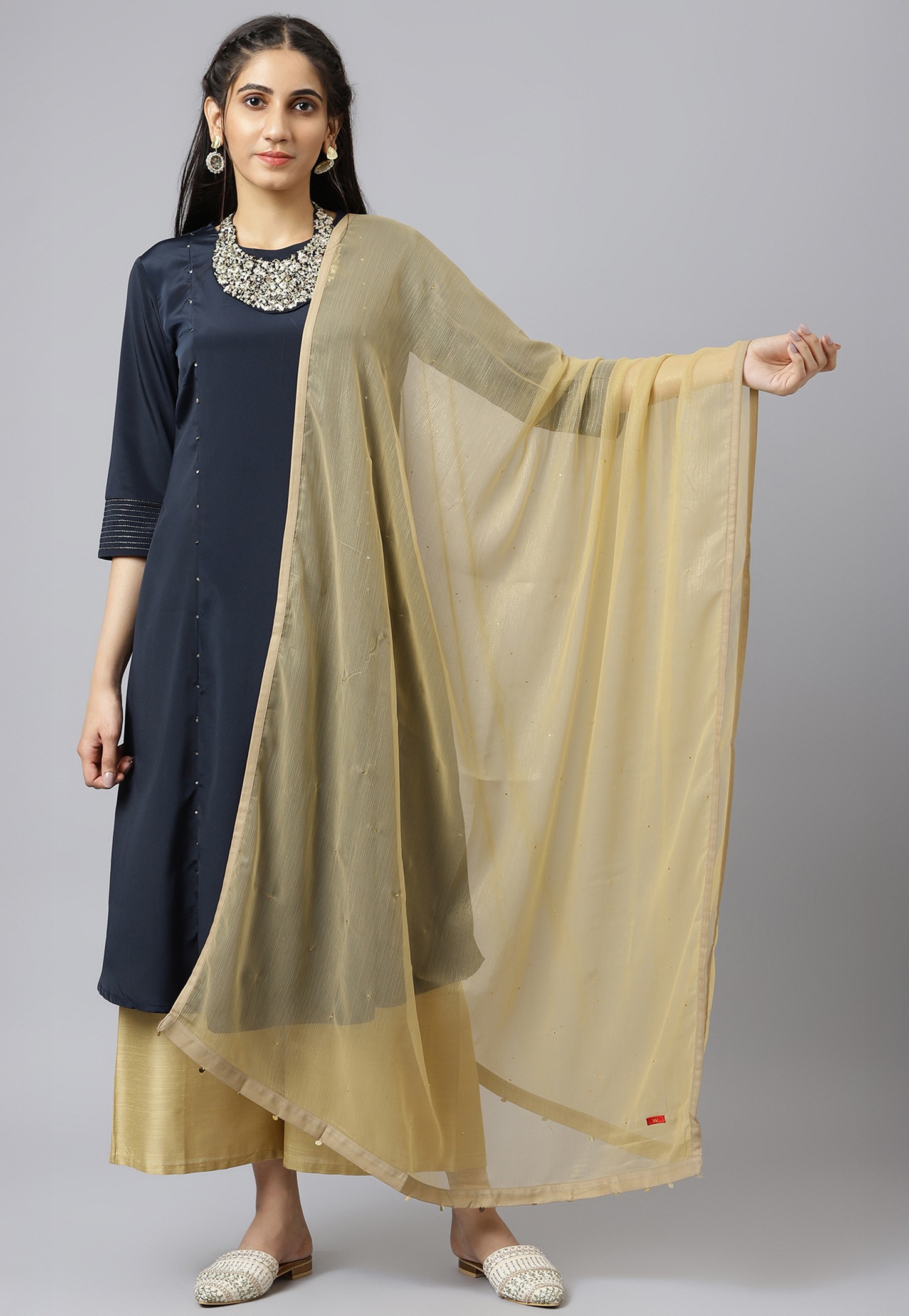 W Embellished Dupatta-picture-38