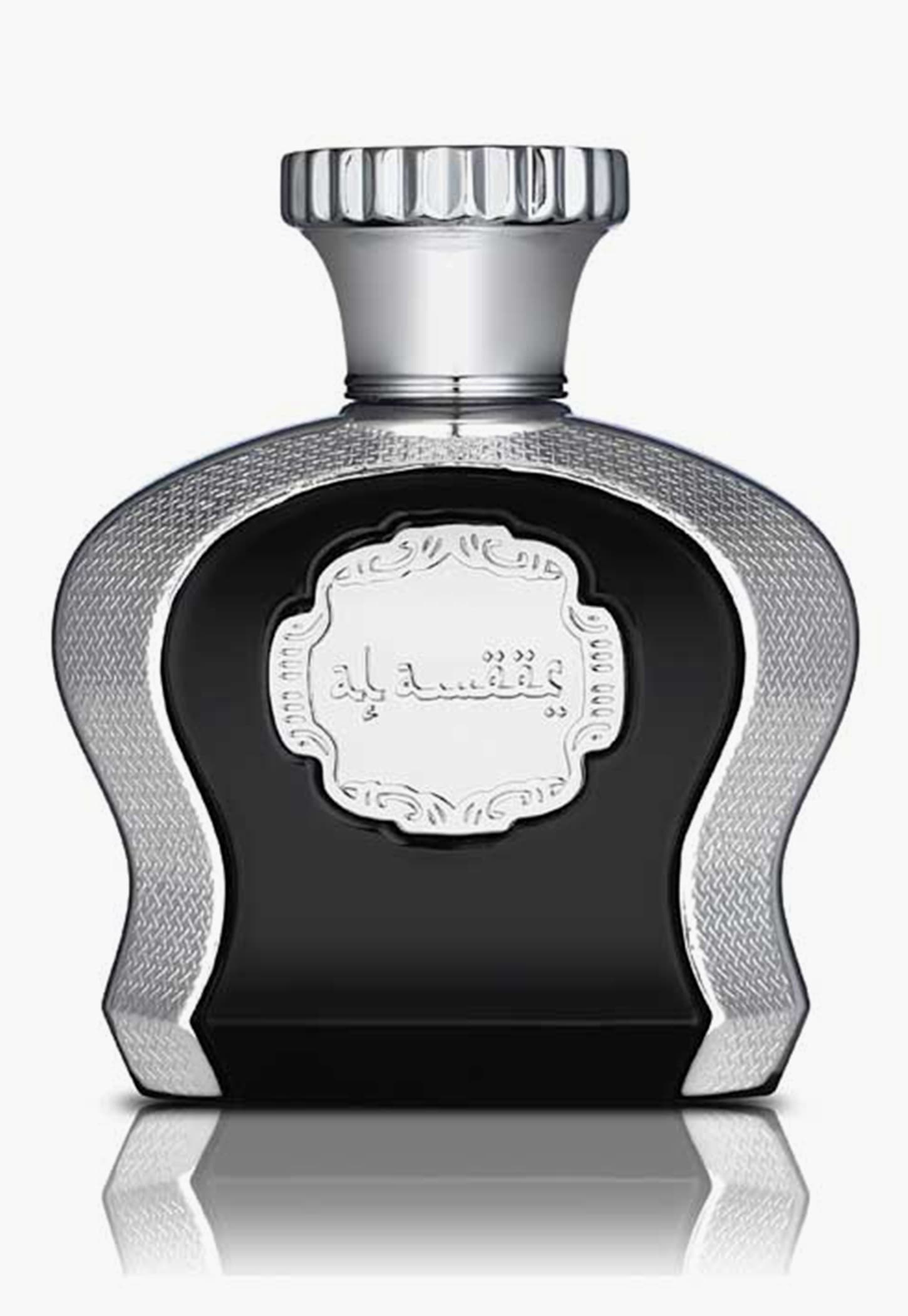 MOCEMSA Al Ameer Pour Homme Eau De Parfum - 100ml-image-45