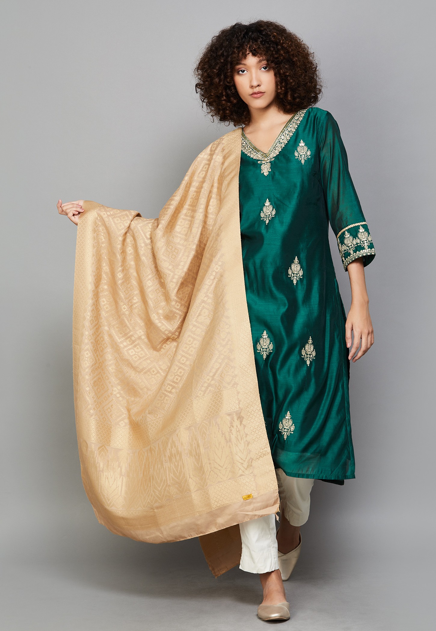 AURELIA Woven Dupatta-picture-12