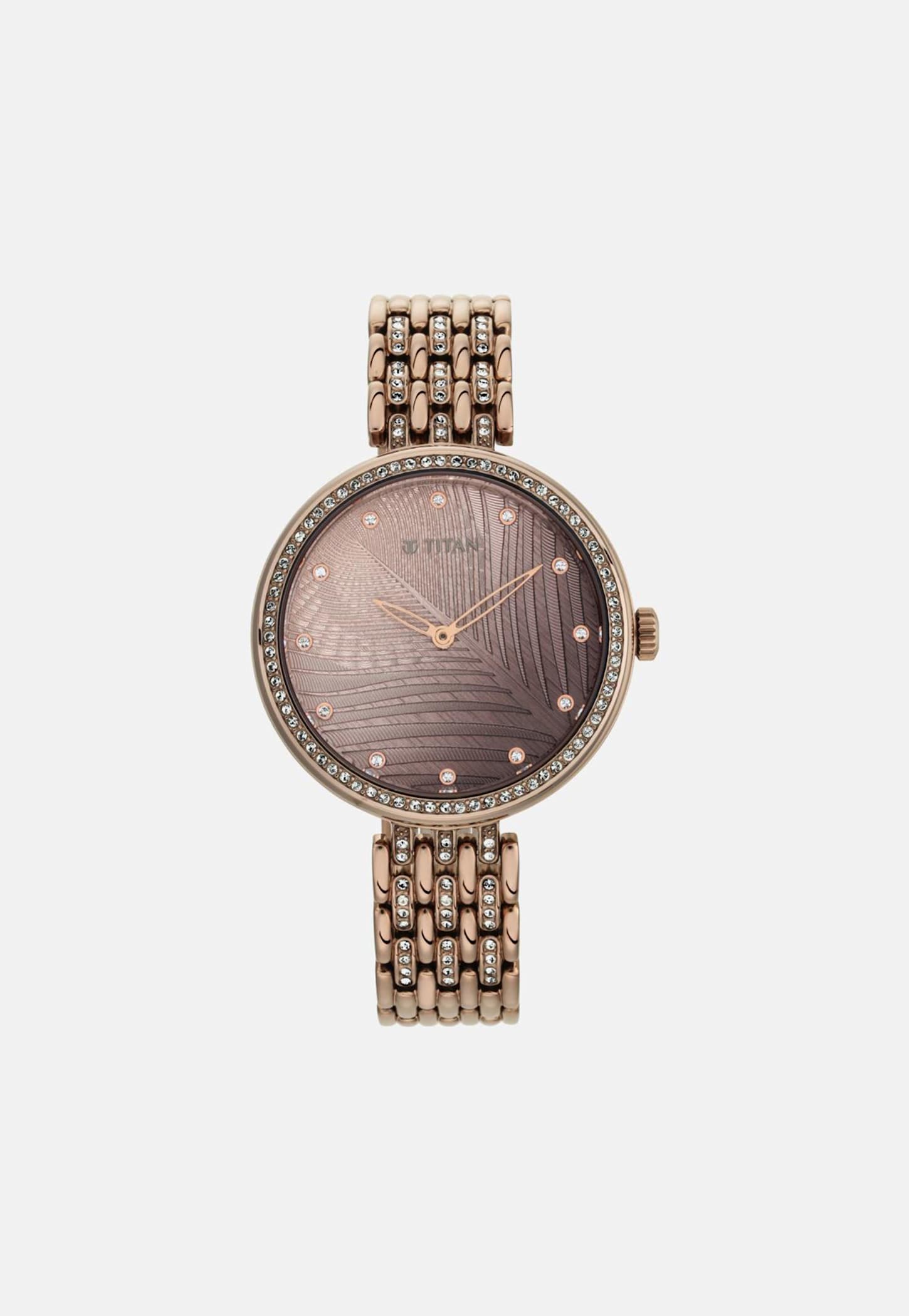 TITAN Titan Animalia Analog Watch - NU95129QM01-image-44